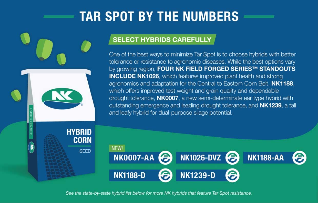 Tar Spot Hybrid Selection