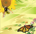 Syngenta and Coalition for Urban/Rural Environmental Stewardship produce pollinator stewardship film
