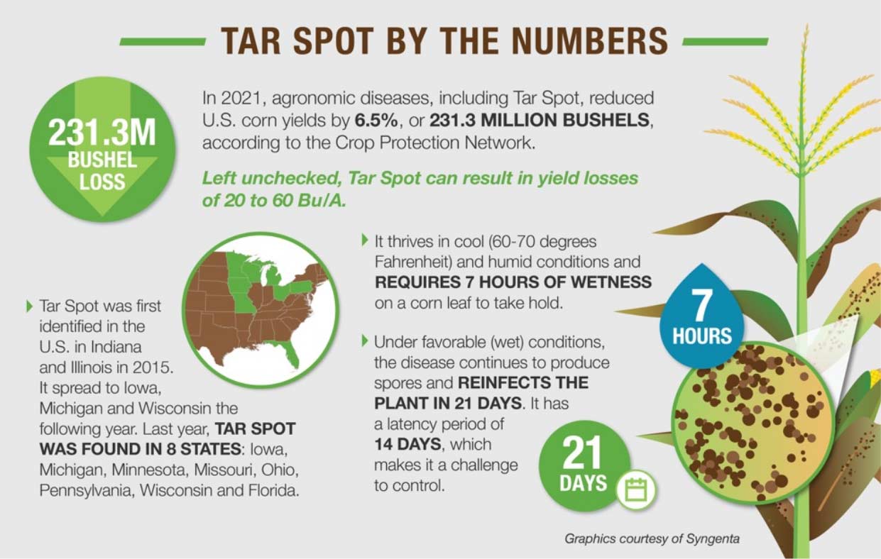 Tar Spot bushel loss