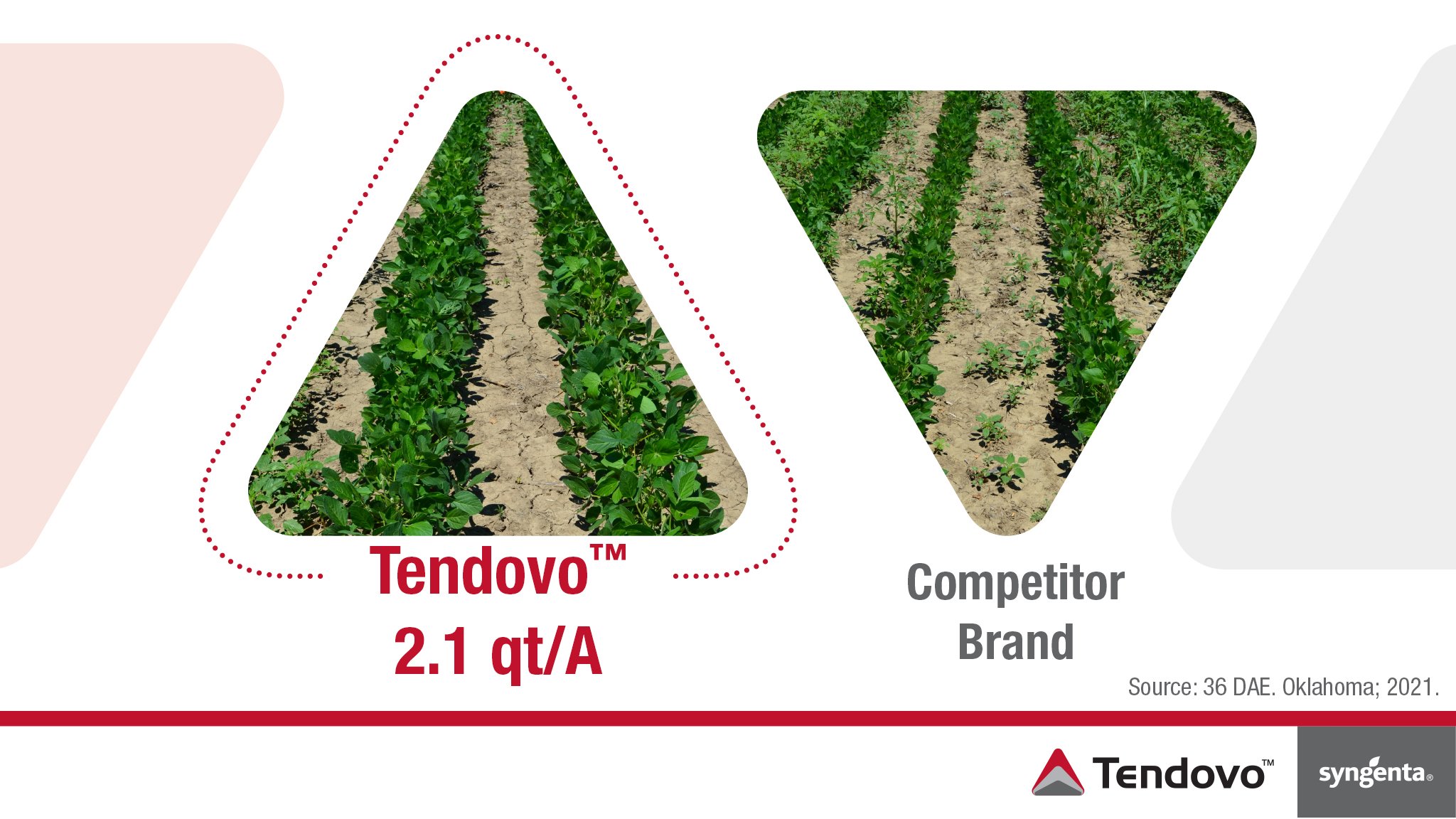 Tendovo vs Zidua Pro